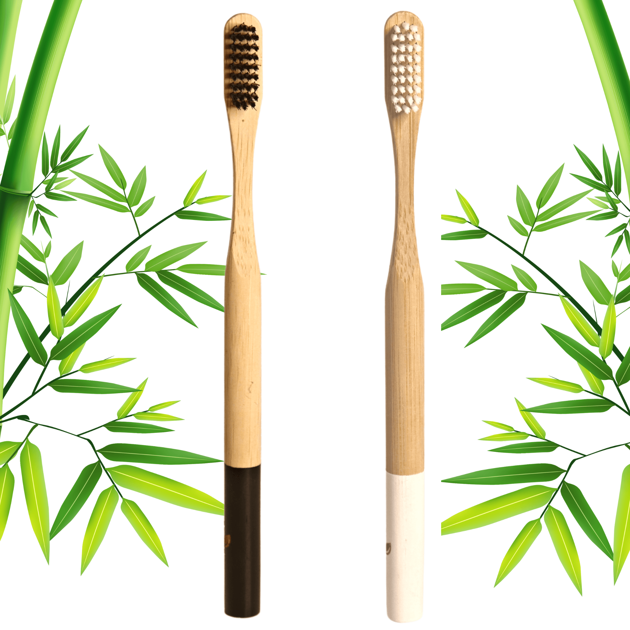 Bamboo Toothbrush - Org-O