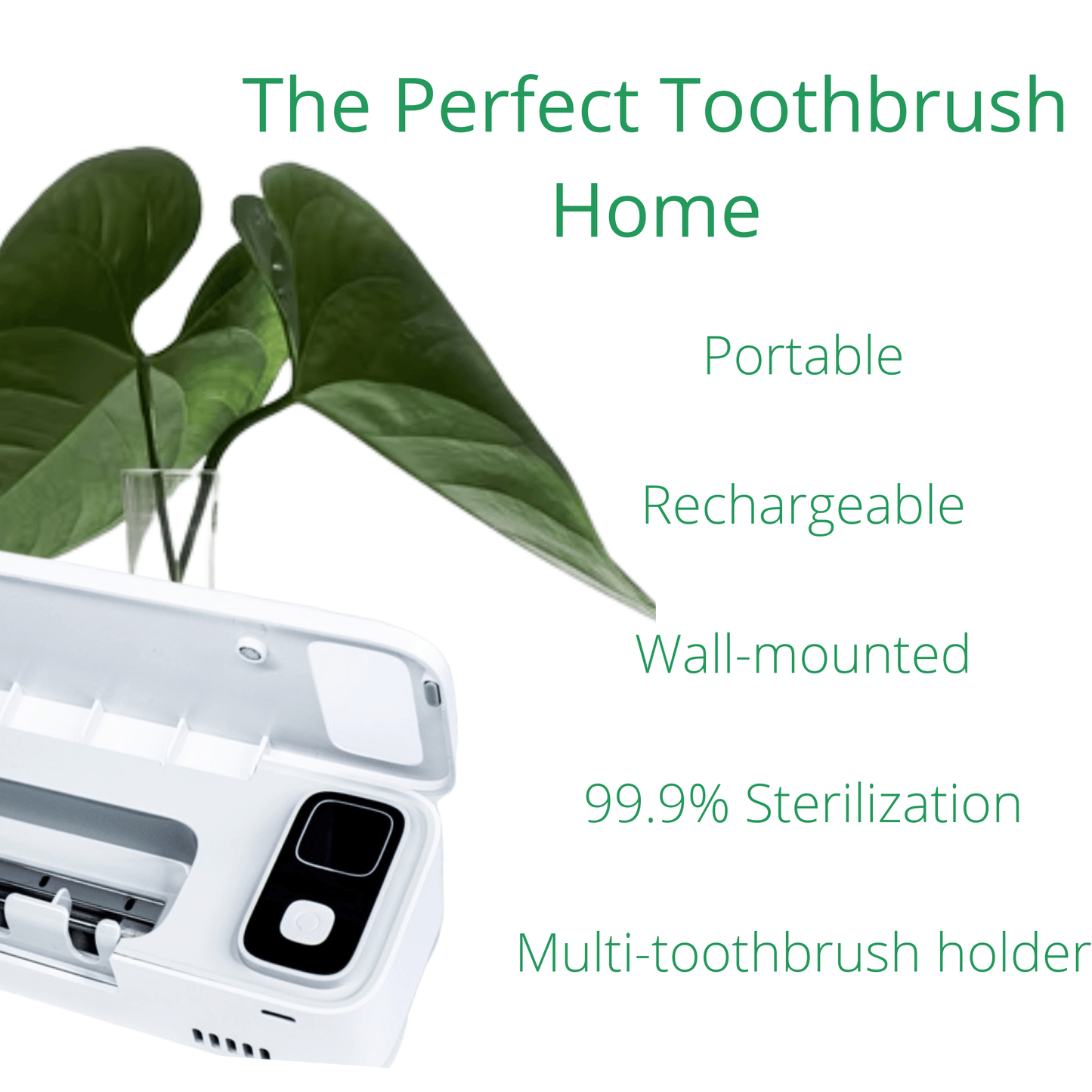 Toothbrush Sterilizer - Org-O